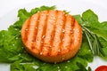 Salmon burger cutlet