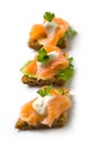 Salmon canape Royalty Free Stock Photo