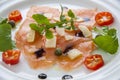 Salmon carpaccio on plate