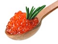 Salmon caviar heap in wooden spoon with rosemary Royalty Free Stock Photo