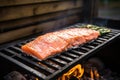 salmon on a cedar plank on a barbecue cast iron grid