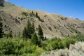 Salmon Challis Nationnal Forest, in Idaho, along the Goldbug Elk Bend Hot Springs trail