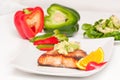 Salmon diet food