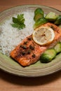 Salmon dish Royalty Free Stock Photo