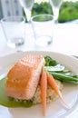 Salmon dish Royalty Free Stock Photo