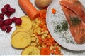 salmon dish with potatoes and carrots Royalty Free Stock Photo