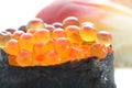 Salmon egg on sushi nigiri roll Royalty Free Stock Photo