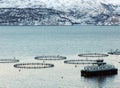 Salmon farm