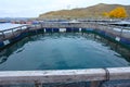 Salmon farm near Twizel, South Island, New Zealand