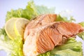 Salmon filet with lemon Royalty Free Stock Photo