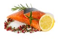 Salmon filet Royalty Free Stock Photo