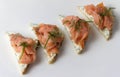 Salmon fillet on bread slice