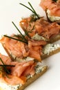 Salmon fillet on bread slice