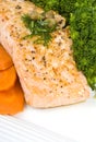 Salmon Fillet with Caper and Dill Sauce Royalty Free Stock Photo