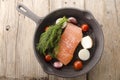 Salmon fillet in a cast iron pan