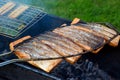 Salmon fillet on the grill .