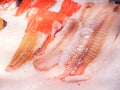 Salmon fillet in ice  for sale at fish market Royalty Free Stock Photo