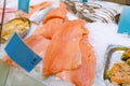 Salmon Fillet in Ice on the supermarket counter Royalty Free Stock Photo