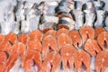 Salmon Fillet in Ice on the supermarket counter. Royalty Free Stock Photo