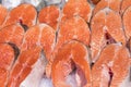 Salmon Fillet in Ice on the supermarket counter. Royalty Free Stock Photo