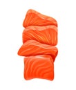 Salmon Fillet Illustration