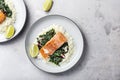 Salmon fillet with rice and spinach garnish Royalty Free Stock Photo