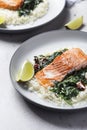 Salmon fillet with rice and spinach garnish Royalty Free Stock Photo