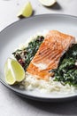 Salmon fillet with rice and spinach garnish Royalty Free Stock Photo