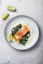 Salmon fillet with rice and spinach garnish Royalty Free Stock Photo