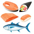 Salmon Fillet vector illustration set