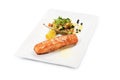 Salmon fillet with vegetable ratatouille isolated