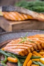 Salmon fillets. Grilled salmon, sesame seeds herb decorationon on vintage pan or black slate board. Royalty Free Stock Photo