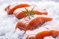 Salmon fillets portioned on ice and empty kitchen board Royalty Free Stock Photo