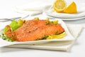 Salmon fillets with vegetables Royalty Free Stock Photo