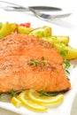 Salmon fillets with vegetables Royalty Free Stock Photo