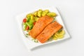 Salmon fillets with vegetables Royalty Free Stock Photo