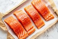 Salmon fillets on a white background Royalty Free Stock Photo