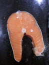 Salmon fish