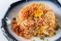Salmon fish and egg fried rice Royalty Free Stock Photo
