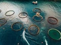 Salmon fish farm with floating cages. Aerial view Royalty Free Stock Photo