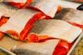 Salmon Fish Filets Royalty Free Stock Photo