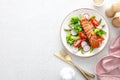 Salmon fish fillet grilled and vegetable salad with radish, tomato, green pepper, broccoli and asparagus Royalty Free Stock Photo