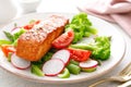 Salmon fish fillet grilled and vegetable salad with radish, tomato, green pepper, broccoli and asparagus Royalty Free Stock Photo