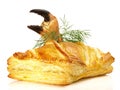 Salmon Fish Fillet in Puff Pastry Royalty Free Stock Photo