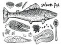 Salmon fish hand drawn vector sketch. Illustration of seafood. Fillet and steak, red caviar on spoon and fish side view. Royalty Free Stock Photo