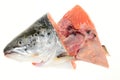 Salmon Fish Head Royalty Free Stock Photo