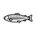 Salmon fish icon. Black line vector isolated icon on white background.