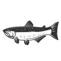 Salmon fish icon isolated on white background. Design element for logo, label, emblem, sign. Royalty Free Stock Photo