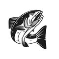Salmon fish illustration isolated on white background. Design element for logo, label, emblem, sign. Royalty Free Stock Photo