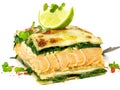 Salmon Lasagne - Fish Lasagne